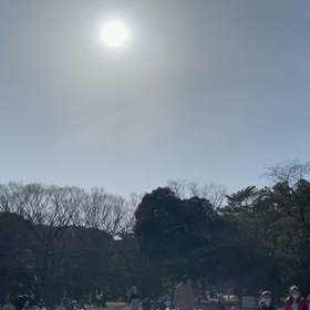 2月11日13わんこと2時間遠足　代々木公園表参道の画像