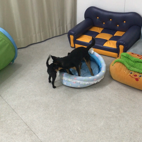 ♪プレイルーム動画♪①の画像
