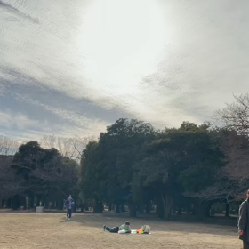 2月10日14わんこと2時間遠足　代々木公園表参道の画像