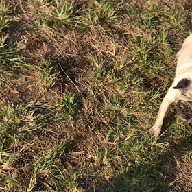 ♪お散歩動画♪代々木公園♪の画像