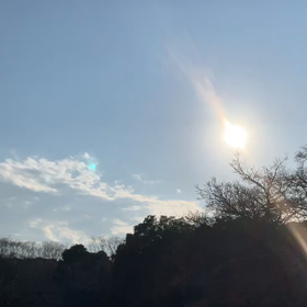 2月2日11わんこと2時間遠足　代々木公園表参道の画像