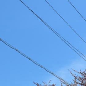 戦闘機が、ビューンの画像