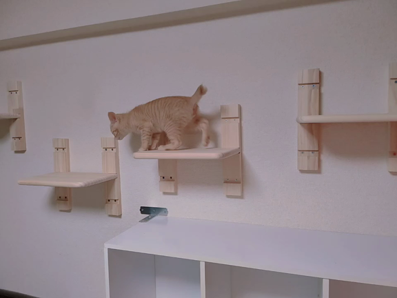 縁あって家族になりましたの記事動画