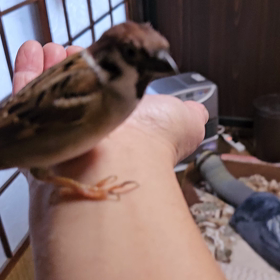 久しぶりに。の画像