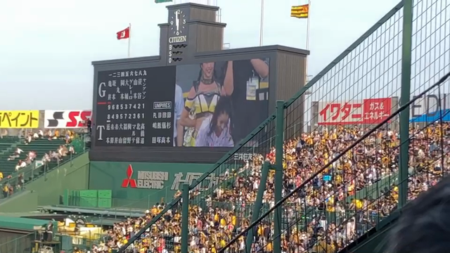 全くの私事ですが… 甲子園に来ています 笑の記事動画