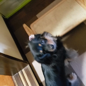 まったり～ ( *´︶`*)の画像