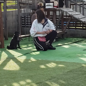 ドッグダンスショー U｡･ｪ･｡Uの画像