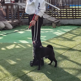 続きですm(_ _)mの画像