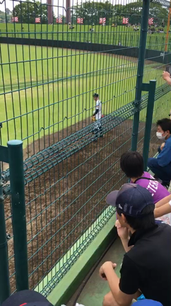 ミーハーのススメの記事動画