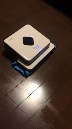金運が上がる方法を実験。次の日には結果が出た☆の記事動画