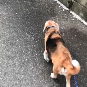 復活✨️の画像