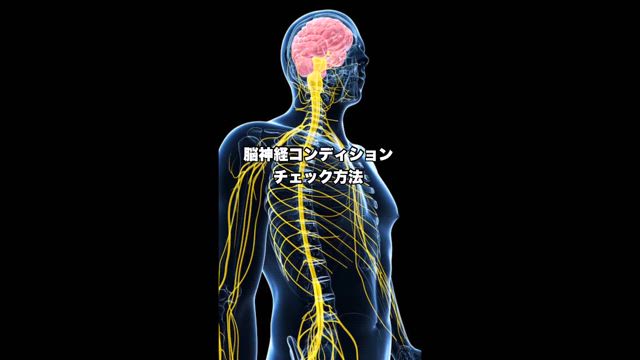 バレーボール選手が伸び悩むかをチェックする5つの方法 】の記事動画
