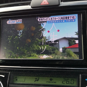 くどいようですが・・・(´ω｀)の画像