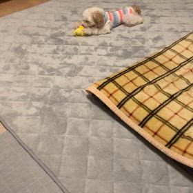のんびりの画像