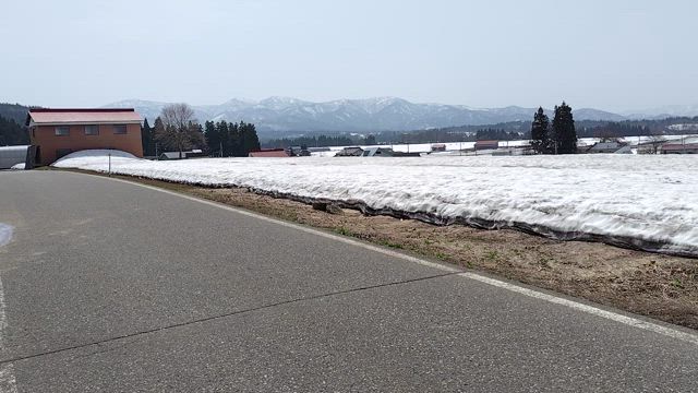 まだはやいの記事動画