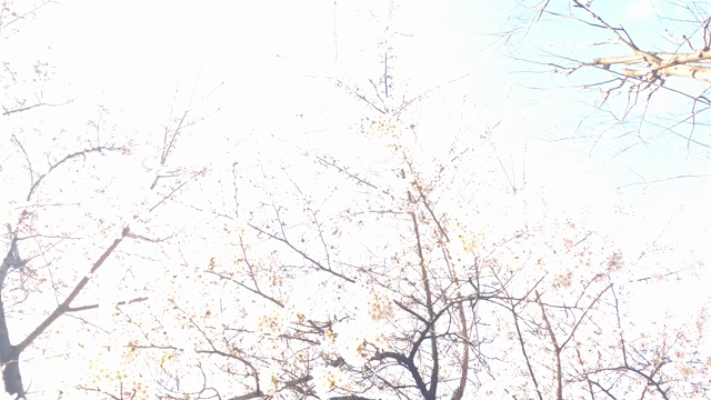 2021/03/26の記事動画