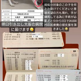 沢山の御支援本当に感謝致しますの画像