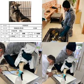 保健所引き出しの画像