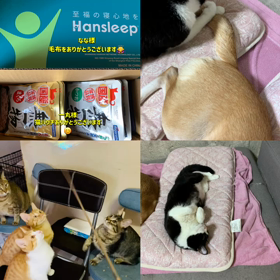 物資ありがとうございますの画像
