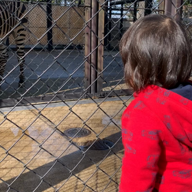 動物園の画像