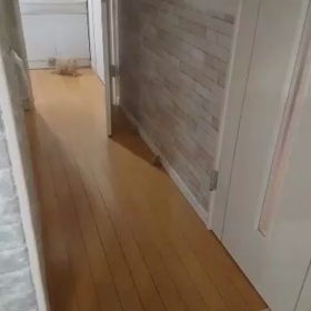 探検中の画像