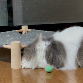速攻パンチ！＆季節のカード【拡散希望記事あり】のサムネイル画像