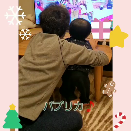 パプリカの記事動画