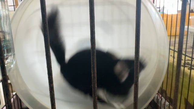今日は何の日？？？　　1/18の記事動画