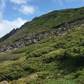 ニペソツ山の画像