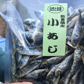 アジ欲しいひとの画像