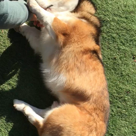 もっとやってくれ〜の画像