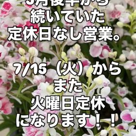2025/07/13の画像