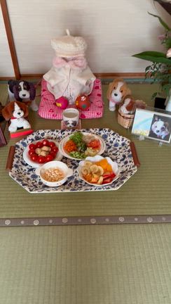 さくらの月命日        ピアノ演奏       頂き物の記事動画