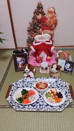 さくらの月命日        早めのクリスマスの記事動画