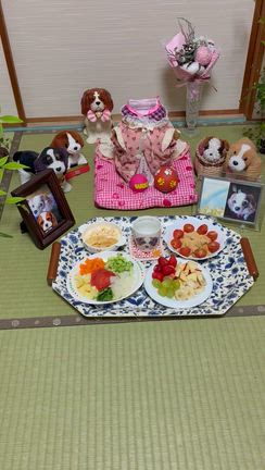 お詫び      さくらの月命日        お花と野菜         頂き物の記事動画