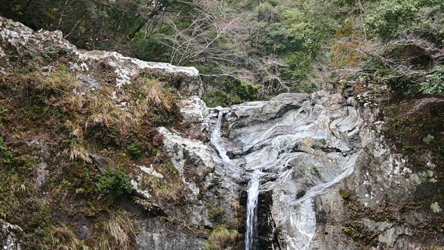 大泰の滝＆清納の滝　十津川村の記事動画