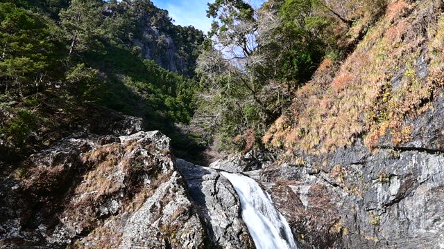 七泰の滝10m　奈良県十津川村の記事動画