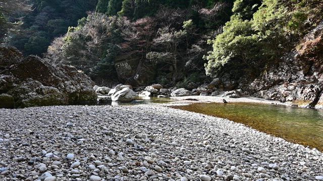 七泰の滝10m　奈良県十津川村の記事動画