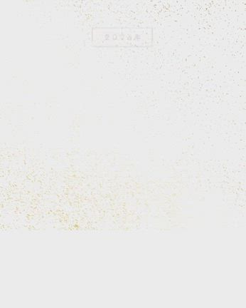 新しい年の幕開けにの記事動画
