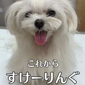 2023/08/07の画像