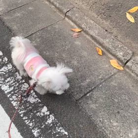 2024/11/12の画像