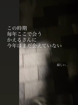 夜の色、声の色の記事動画