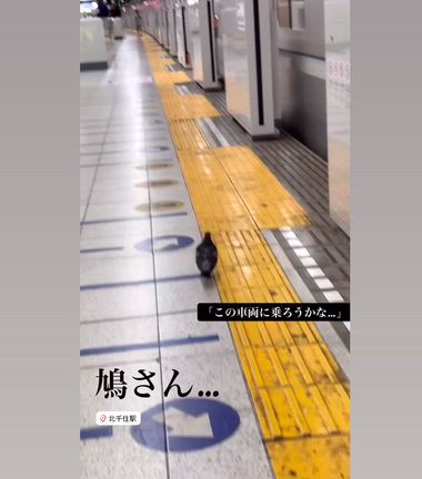 ゲリラ雷雨と青空との記事動画