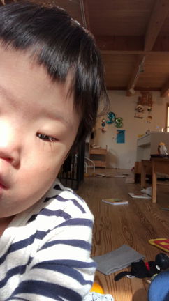 みーたん、３歳になるの記事動画