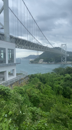 台風になんか負けない‼️の記事動画