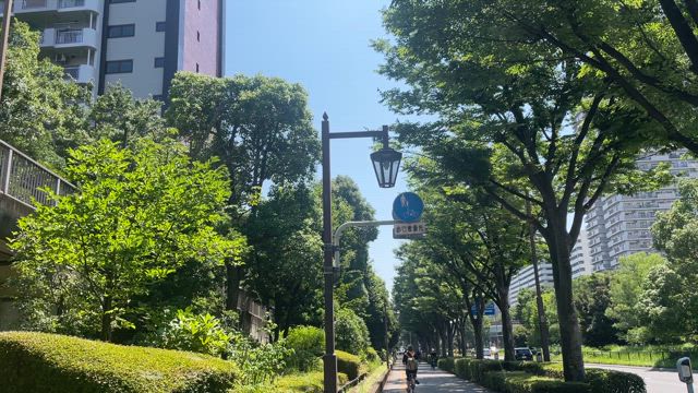 魅せる番組を見せるためにの記事動画