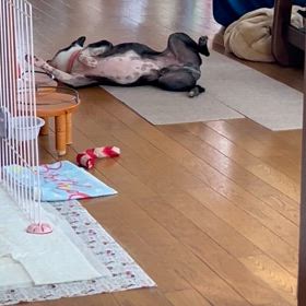 まったりな日の画像