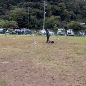 頑張ったよ〜の画像