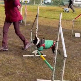 練習会の画像