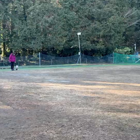 頑張ったよ〜の画像